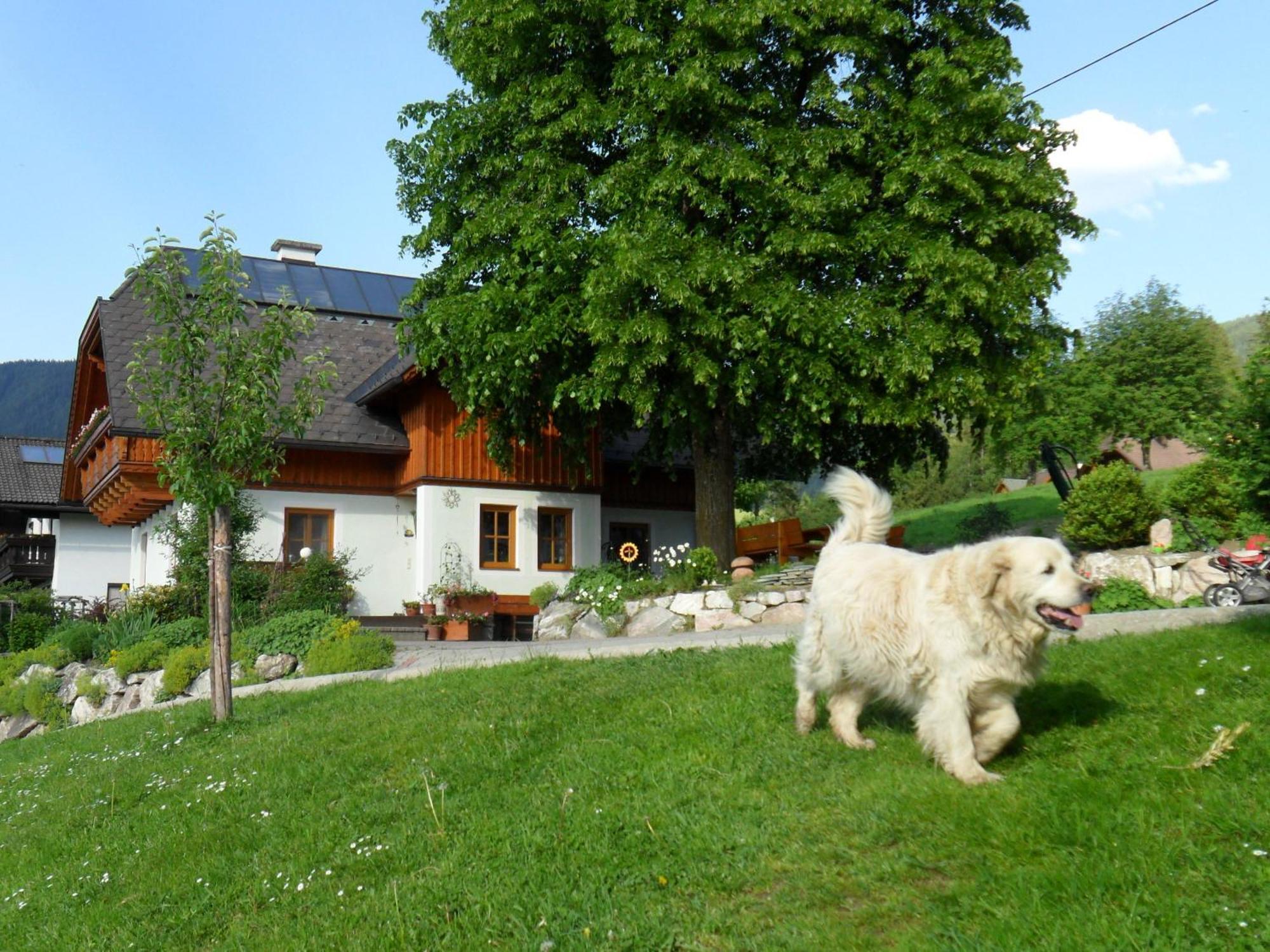 Huettstaedterhof Familie Poetsch Villa Aigen im Ennstal Exterior photo