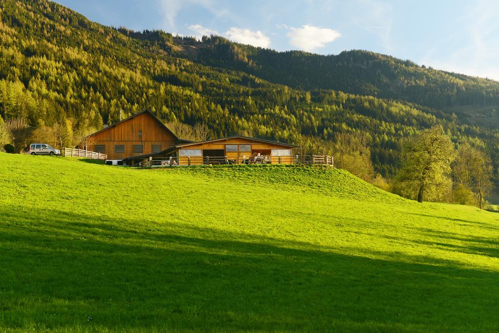Huettstaedterhof Familie Poetsch Villa Aigen im Ennstal Exterior photo