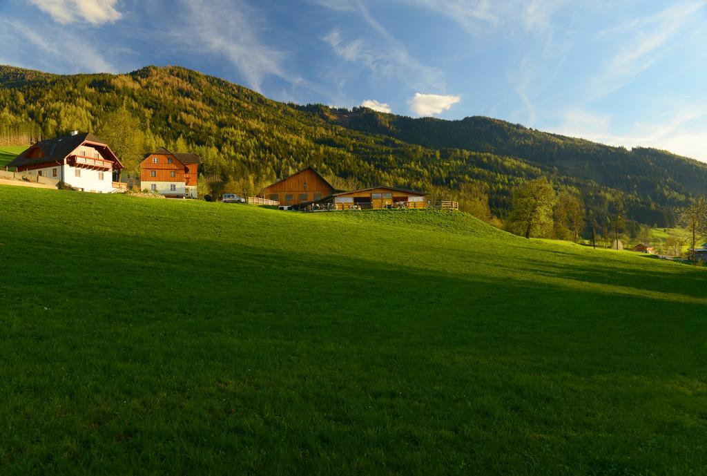 Huettstaedterhof Familie Poetsch Villa Aigen im Ennstal Exterior photo