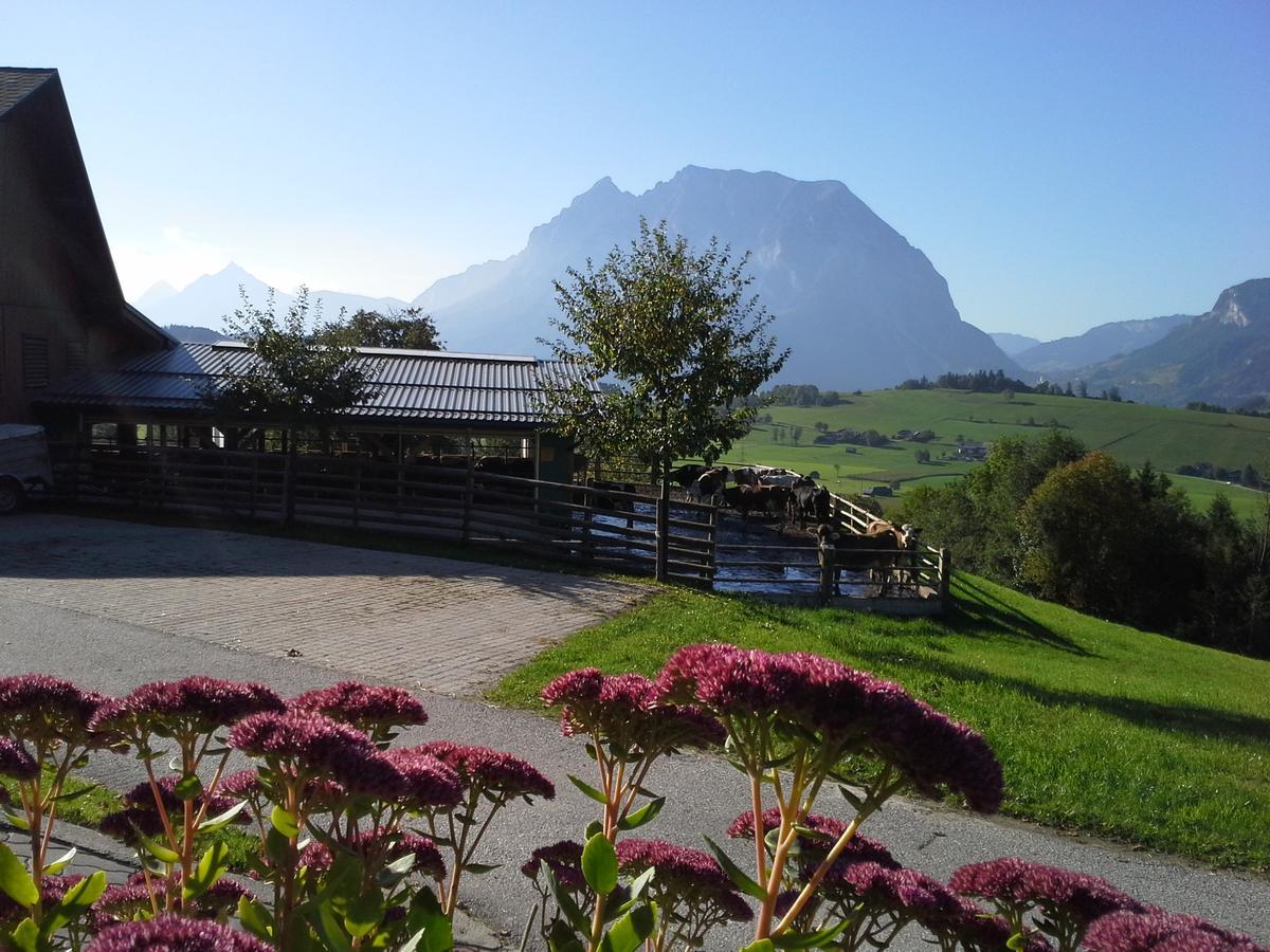 Huettstaedterhof Familie Poetsch Villa Aigen im Ennstal Exterior photo